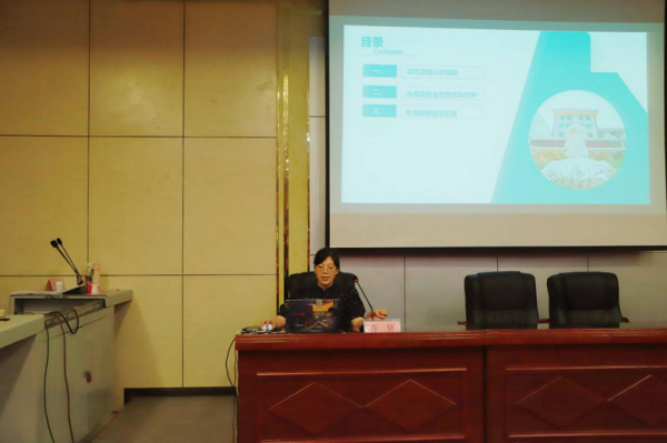 医校协同 全面护航校园健康——学校组织开展健康知识讲座暨义诊活动