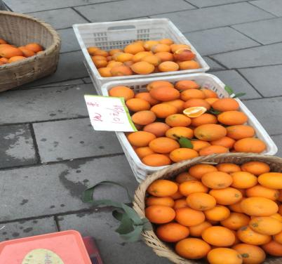 【二级学院动态】双手撑梦 步履不停——谁说女儿不如男！