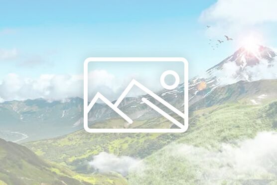 致全体女教职工妇女节的慰问信